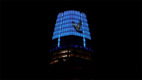Muybridge's Birds - Video Art at Salesforce Tower